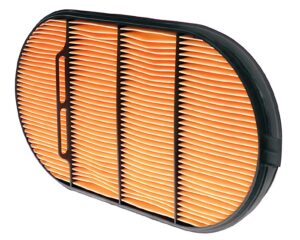 Donaldson® Safety Air Filter, Obround (P621984)