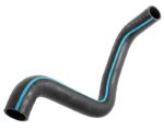 Blue Bird 00097899 – Formed Radiator Upper Hose, Cummins ISB, Blue Stripe
