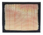 Fleetguard® Panel Air Filter (AF25757)