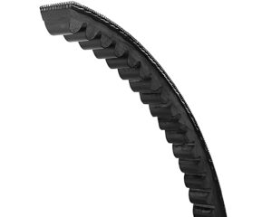 Bestorq 214.2″ Length, 0.875″ Top Width, Classical Cogged V-Belt (CX210)