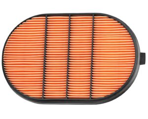 Fleetguard® Air Filter, Secondary (AF4201)